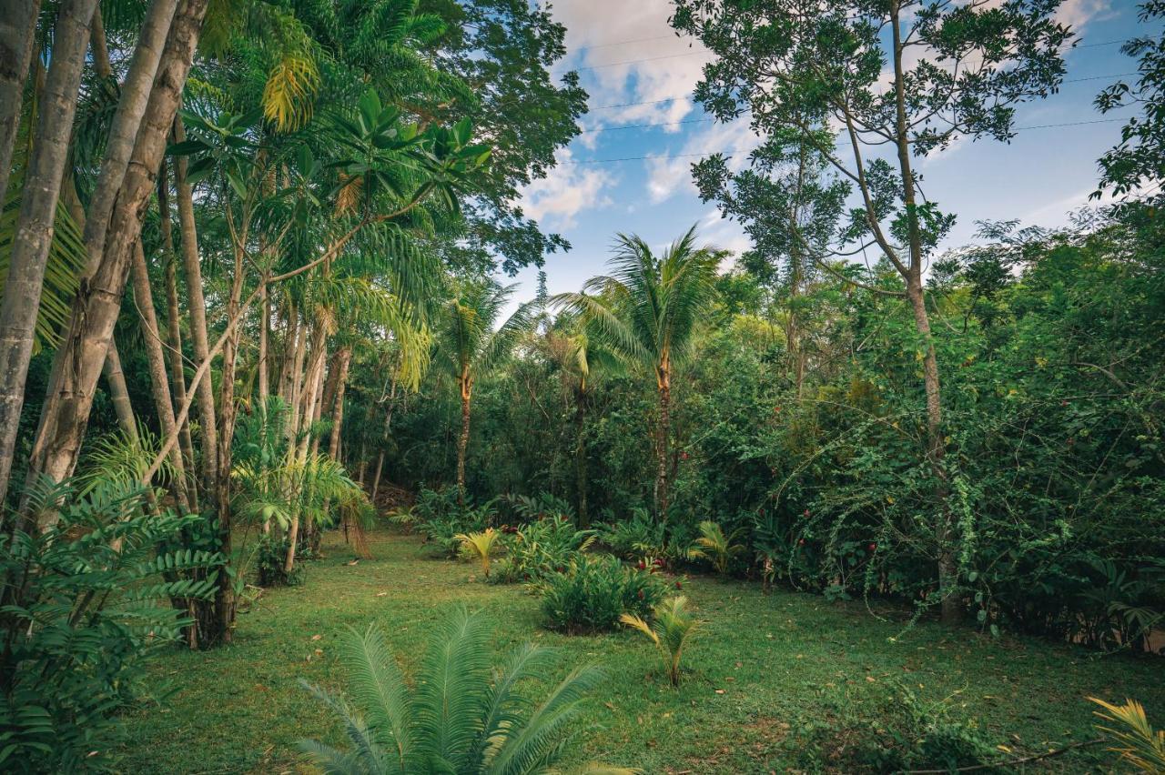 Huingos Eco Lodge Tarapoto Dış mekan fotoğraf