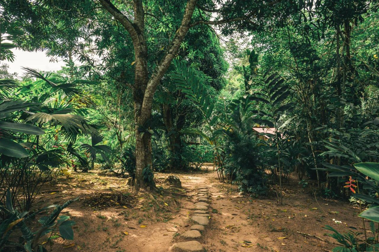 Huingos Eco Lodge Tarapoto Dış mekan fotoğraf