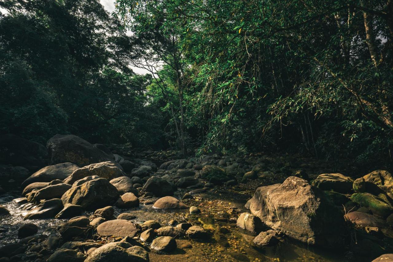 Huingos Eco Lodge Tarapoto Dış mekan fotoğraf