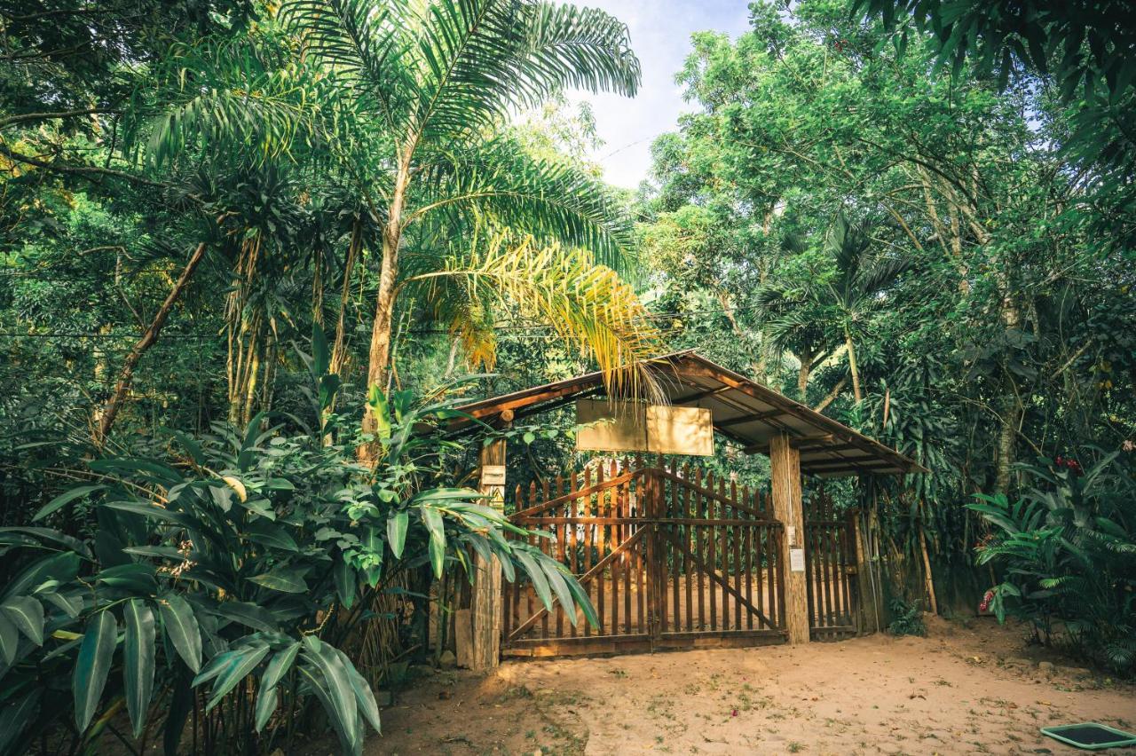 Huingos Eco Lodge Tarapoto Dış mekan fotoğraf