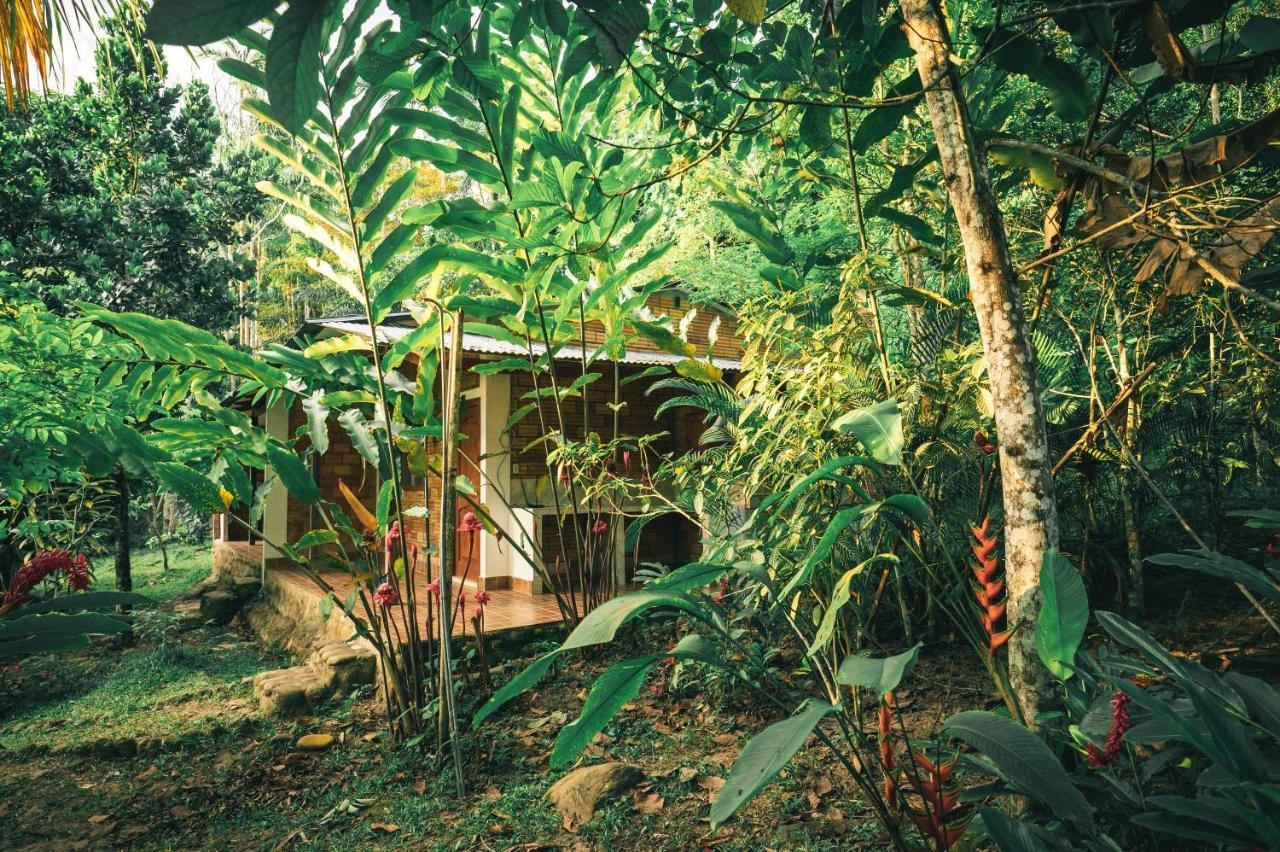 Huingos Eco Lodge Tarapoto Dış mekan fotoğraf