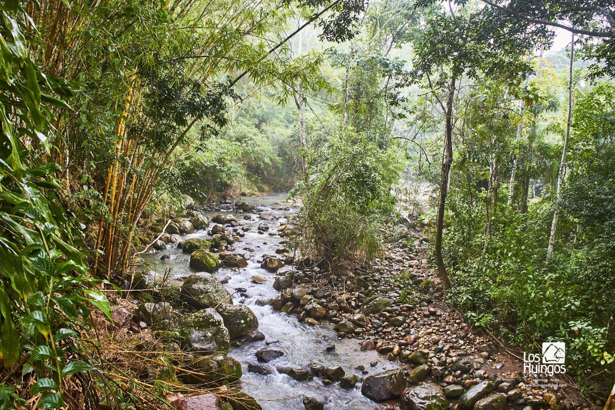 Huingos Eco Lodge Tarapoto Dış mekan fotoğraf